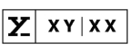XYXX Crew