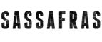 Sassafras